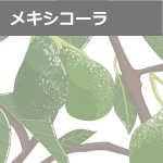 アボカド栽培管理「アボカドマネージャー」